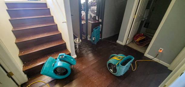 Water damage restoration mold remediation in VA