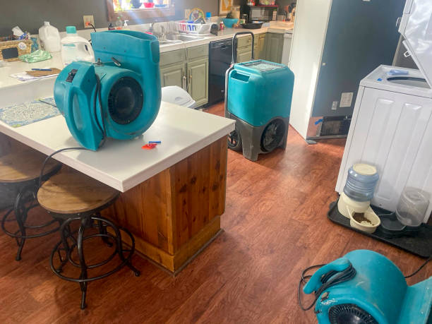 Best Water damage restoration cost  in Laurel, VA