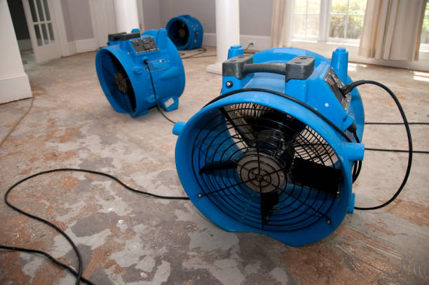 Best Fire Damage Restoration  in Laurel, VA