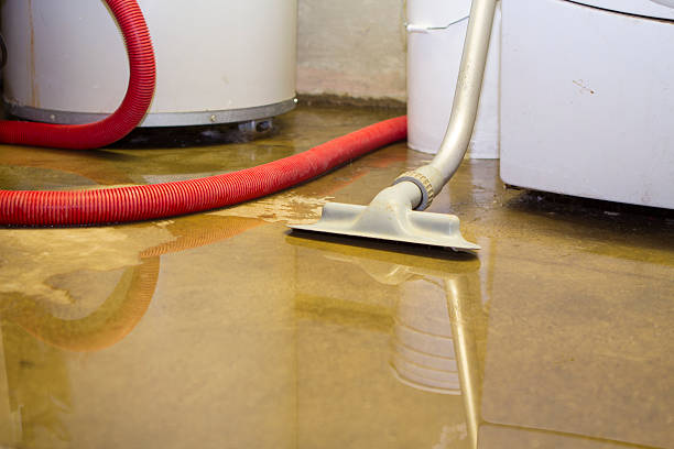 Best Mold removal after water damage  in Laurel, VA