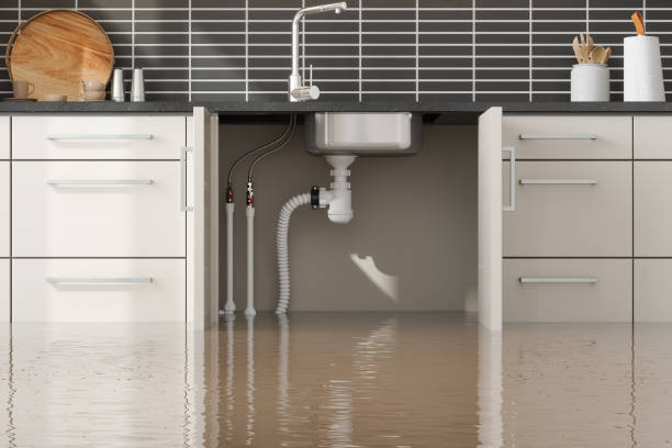 Best Water damage restoration specialists  in Laurel, VA