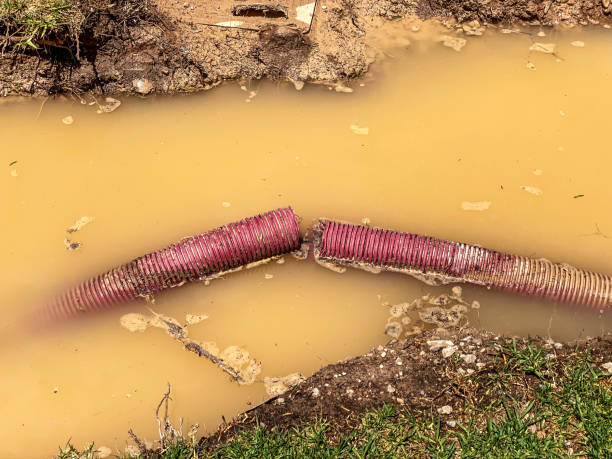 Best Water damage cleanup near me  in Laurel, VA