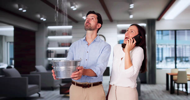 Best Sewage cleanup and water damage restoration  in Laurel, VA