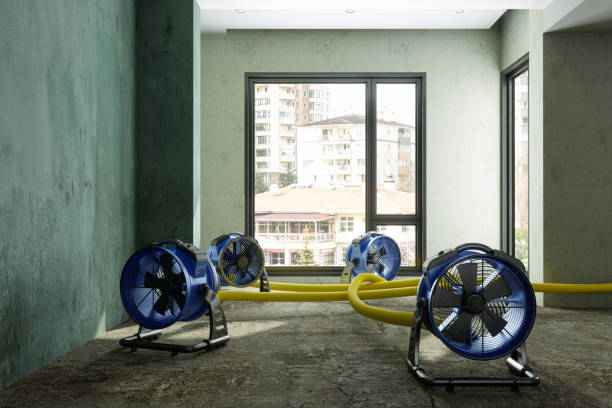 Best Water damage restoration process  in Laurel, VA